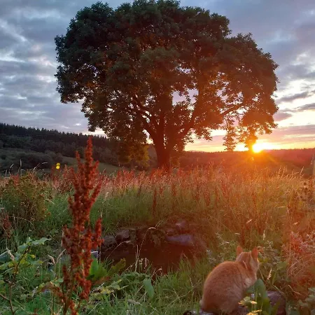 شقة Warriors View Dromahair