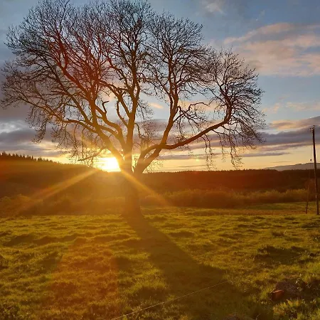 Warriors View شقة