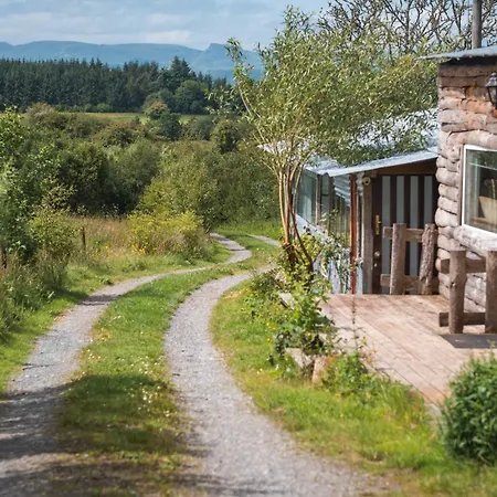 Warriors View شقة *