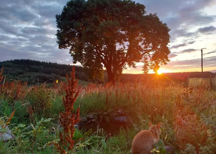 Apartment Warriors View Dromahair