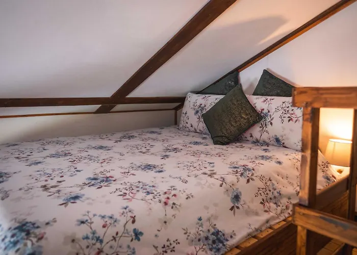 Apartment Warriors View Dromahair