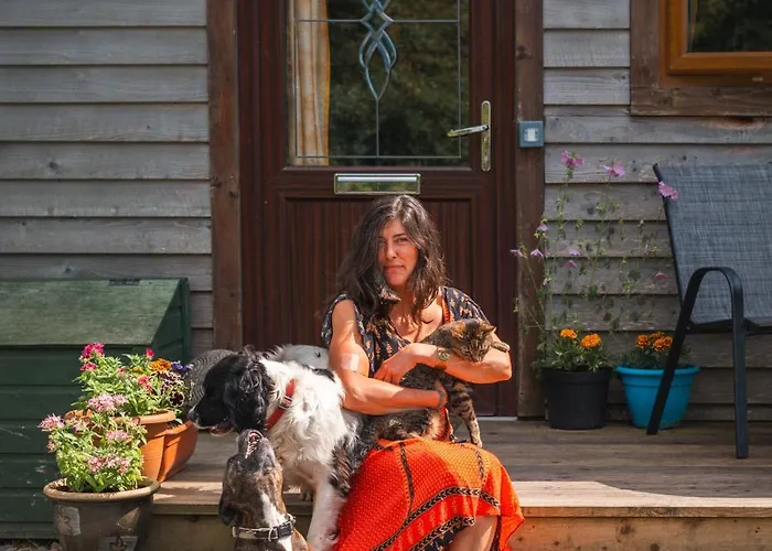 Апартаменты Warriors View Dromahair